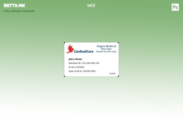 модерен стил САД Вирџинија Медикејд план Прв шаблон за медицинска картичка